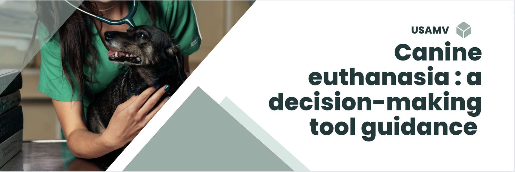 Canine euthanasia: a decision-making tool guidance
